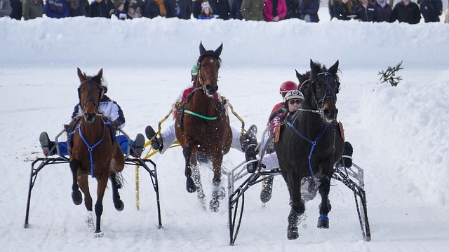 但这一场达 但这一场达