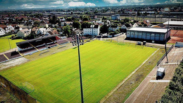 此次传闻中 此次传闻中