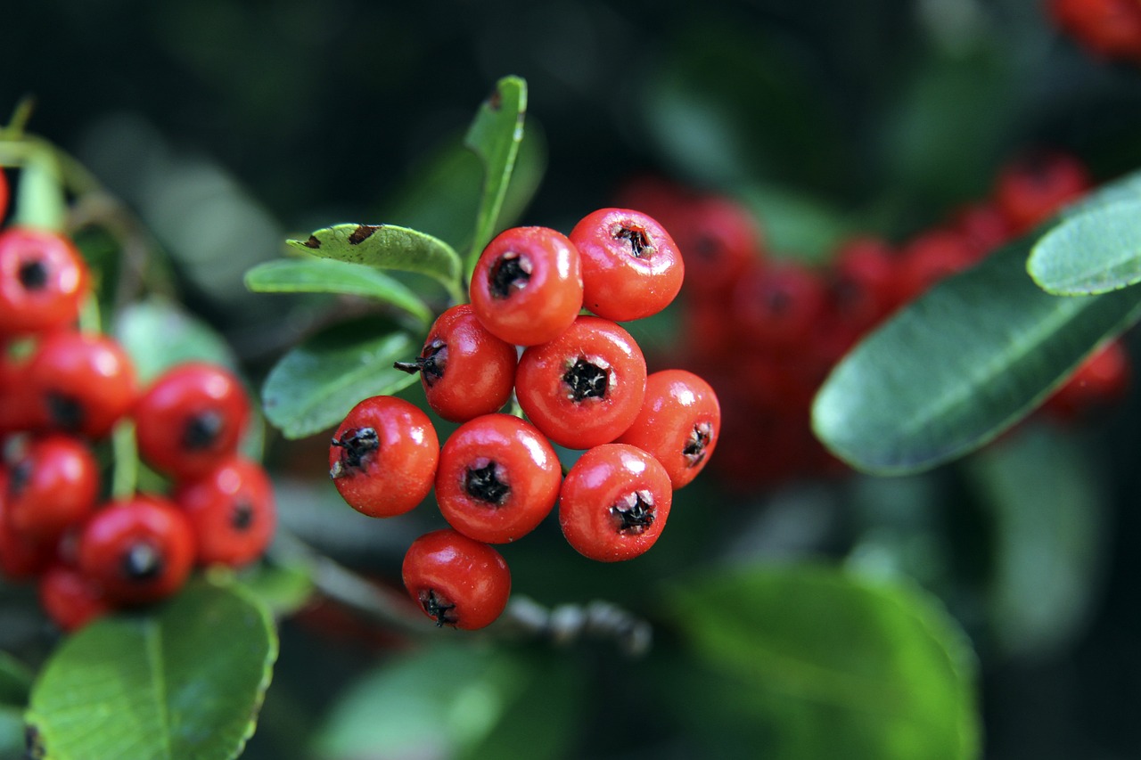 詹金斯下课 詹金斯下课