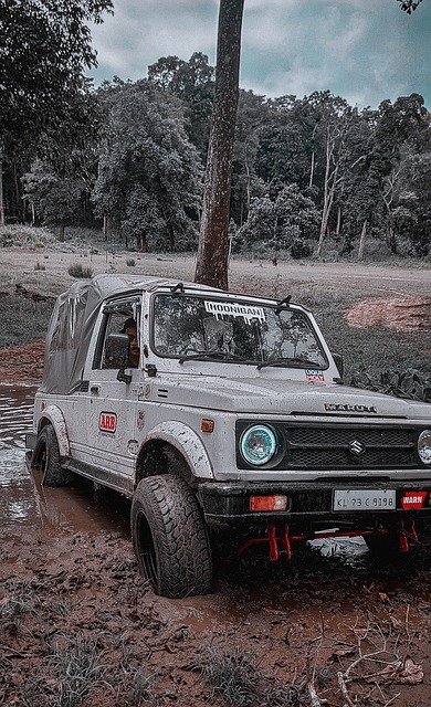 尤其是年轻 尤其是年轻