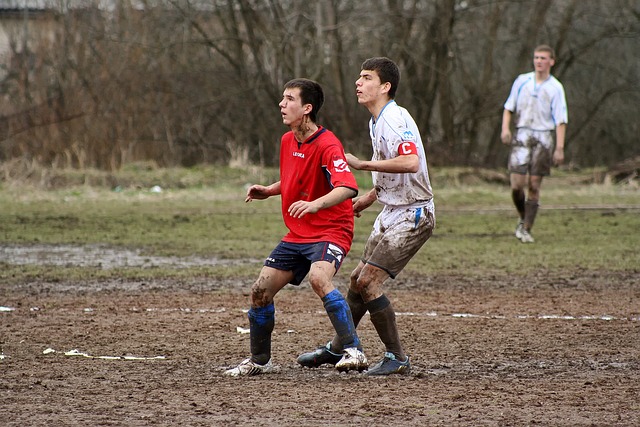 的未来会熠 的未来会熠