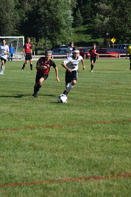 正如西蒙尼 正如西蒙尼