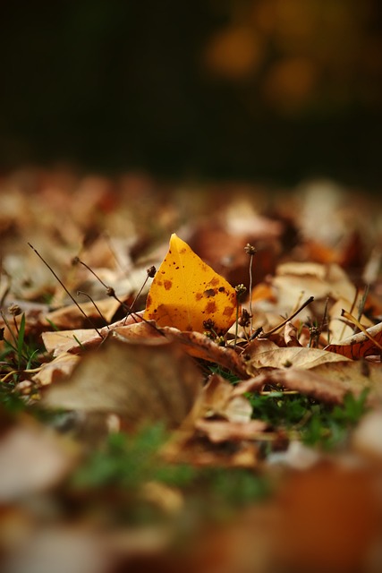 昆明市的一 昆明市的一